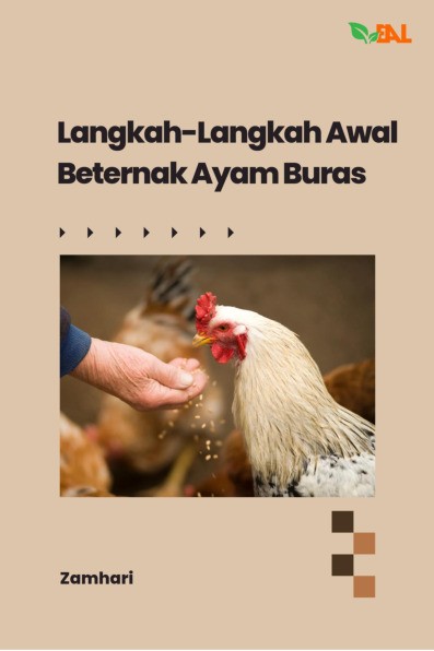 Langkah-Langkah Awal Beternak Ayam Buras